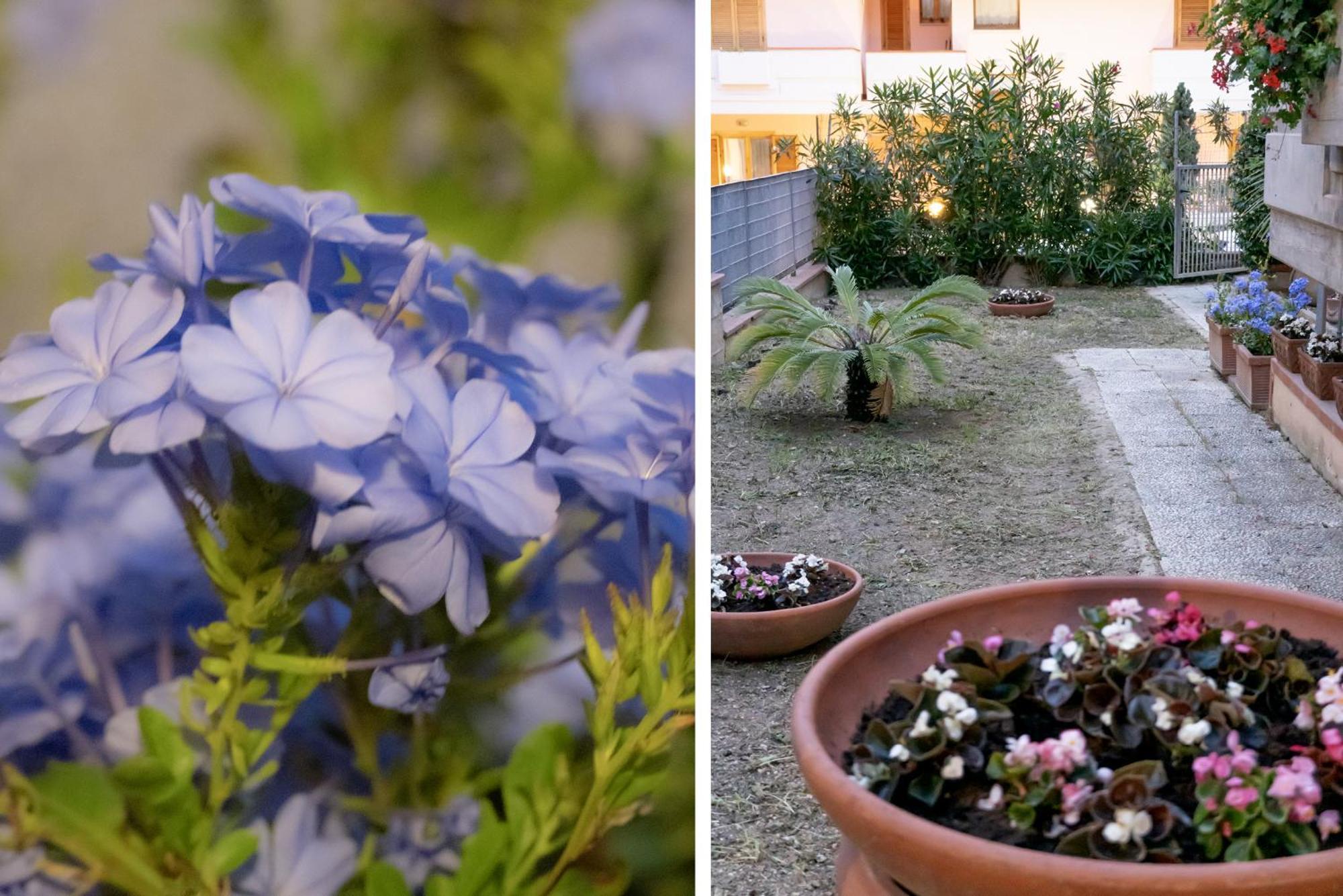 Apartmán Il Giardino Civitanova Marche Exteriér fotografie